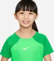 Комплект футбольной формы детский Nike DRI-FIT ACADEMY PRO зелено-черный DH9484-329