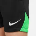Комплект футбольной формы детский Nike DRI-FIT ACADEMY PRO зелено-черный DH9484-329