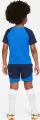 Комплект футбольной формы детский Nike DRI-FIT ACADEMY PRO сине-темно-синий DH9484-463
