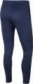 Спортивные штаны Nike DRI-FIT PARK 20 темно-синие FJ3017-451