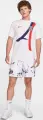 Футболка Nike PARIS SAINT-GERMAIN AWAY біло-темно-синьо-червона HF0826-100