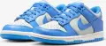 Кроссовки подростковые Nike DUNK LOW (GS) голубо-светло-серые FB9109-004