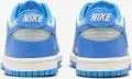Кроссовки подростковые Nike DUNK LOW (GS) голубо-светло-серые FB9109-004