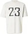 Футболка Nike JORDAN BROOKLYN серая HQ9028-050