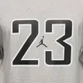 Футболка Nike JORDAN BROOKLYN серая HQ9028-050