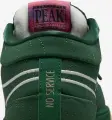 Кросівки баскетбольні Nike BOOK 1 темно-зелені FJ4249-300