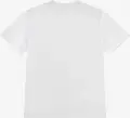 Футболка подростковая Nike PRACTICE TEE PSG белая 95F539-001