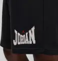 Шорты Nike JORDAN BROOKLYN 23CM GRAPHIC черные HV1843-010