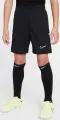 Шорты подростковые Nike DRI-FIT ACADEMY 25 черно-белые FZ9784-010