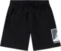Шорты подростковые Nike JORDAN BROOKLYN BASELINE MESH черные 95F475-023