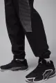 Спортивные штаны Nike JORDAN SPORT JAM WARM-UP черно-серебряные HF9890-011