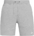 Шорты Nike CLUB FRENCH TERRY FLOW серые FN3520-063