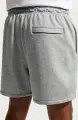 Шорти Nike CLUB FRENCH TERRY FLOW сірі FN3520-063