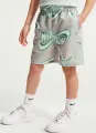 Комплект летний детский Nike SPORTSWEAR CLUB мятно-серый 86N878-F28