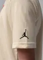 Футболка подростковая Nike JORDAN FLIGHT ESSENTIALS BOXED LOGO 3.0 бежево-красно-серая 95F057-W5T