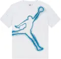 Футболка подростковая Nike JORDAN BRAND бело-голубая 95F599-001
