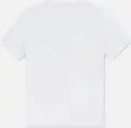 Футболка подростковая Nike JORDAN BRAND бело-голубая 95F599-001