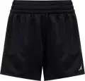 Шорты женские Nike JORDAN SPORT MESH черные FN5162-010