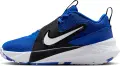 Кросівки баскетбольні підліткові Nike TEAM HUSTLE D 12 (GS) синьо-чорно-білі HF6279-400