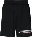 Шорты Nike JORDAN DRI-FIT MESH GRAPHIC черные IF0872-010