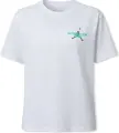 Футболка жіноча Nike JORDAN SPORT DRI-FIT біло-зелена IF2221-101