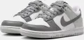 Кросівки підліткові Nike DUNK LOW (GS) сіро-білі IQ0804-102