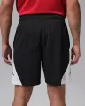 Шорти Nike JORDAN SPORT DRI-FIT чорно-білі IQ5775-011