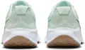 Кроссовки беговые женские Nike REVOLUTION 7 светло-зелено-серебряные FB2208-303