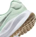 Кроссовки беговые женские Nike REVOLUTION 7 светло-зелено-серебряные FB2208-303