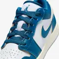 Кросівки підліткові Nike AIR JORDAN 1 LOW SE (GS) синьо-білі FN9137-141