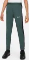 Спортивный костюм подростковый Nike DRI-FIT ACADEMY темно-зелено-черный DX5480-338