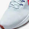 Кросівки бігові Nike PEGASUS 39 біло-червоно-темно-сині DH4071-007