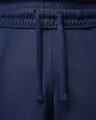 Шорти Nike JORDAN SPORT DRI-FIT Y2K темно-синьо-блакитні IF3541-410