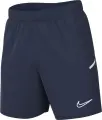 Шорты подростковые Nike DRI-FIT ACADEMY 25 темно-сине-белые FZ9784-410