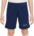 Шорты подростковые Nike DRI-FIT ACADEMY 25 темно-сине-белые FZ9784-410