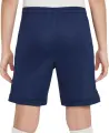 Шорты подростковые Nike DRI-FIT ACADEMY 25 темно-сине-белые FZ9784-410