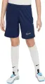 Шорты подростковые Nike DRI-FIT ACADEMY 25 темно-сине-белые FZ9784-410