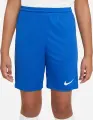 Шорты подростковые Nike DRI-FIT PARK 3 синие BV6865-463