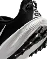 Кросівки для трейлраннінгу Nike ACG PEGASUS TRAIL чорно-білі HV8116-001