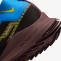Кросівки для трейлраннінгу жіночі Nike REACT PEGASUS TRAIL 4 GORE-TEX WATERPROOF кольорові DJ7929-003