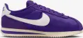 Кроссовки женские Nike CORTEZ TEXTILE фиолетово-белые DZ2795-500