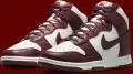 Кросівки жіночі Nike DUNK HIGH біло-бордові DD1869-601