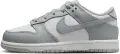 Кросівки дитячі Nike DUNK LOW (PSE) сіро-білі FB9108-123
