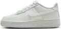 Кросівки підліткові Nike AIR FORCE 1 LV8 2 (GS) білі IO9736-100