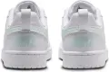 Кросівки підліткові Nike COURT BOROUGH LOW RECRAFT (GS) біло-м'ятні DV5456-138