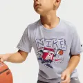Футболка дитяча Nike CHALKY BOXY BBALL світло-сіра 86N843-BAD