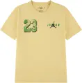 Футболка подростковая Nike JORDAN BROOKLYN VARSITY желто-зеленая 95F748-X5U