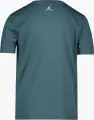 Футболка подростковая Nike JORDAN FILL темно-зеленая 95G009-EA0