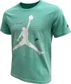 Футболка подростковая Nike JORDAN JUMPMAN GRID BLUR мятная 95F634-G11