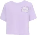 Футболка підліткова Nike JORDAN SECRET GARDEN COLLEGIATE бузкова 45F900-P2W